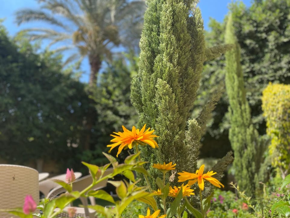 Royal Mariout Villa Private Pool & Garden, King Mariout Alexandria Villa in Alexandria Governorate