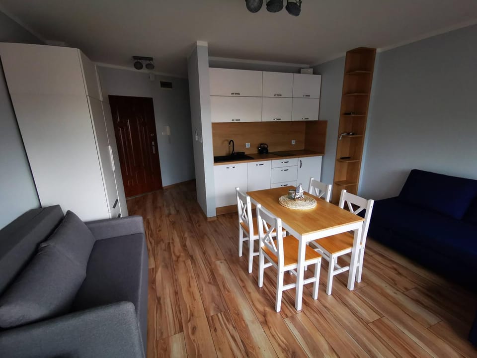 Kitchen or kitchenette, Living room, Dining area, stove