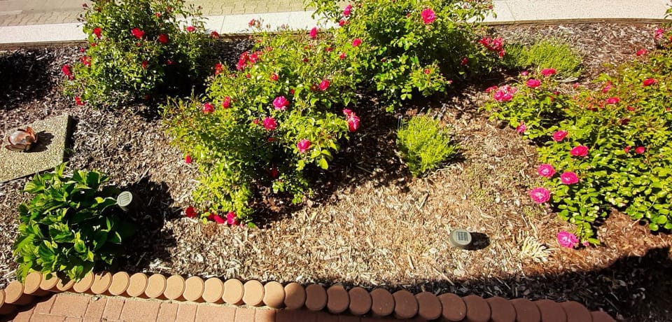 Garden, Garden view