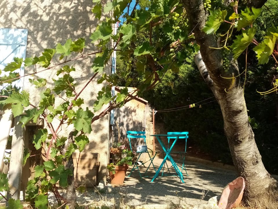 Hysope Apartment in Provence-Alpes-Côte d'Azur