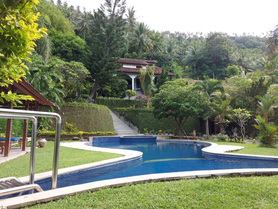 Property building, Garden, Garden view, Pool view, Swimming pool
