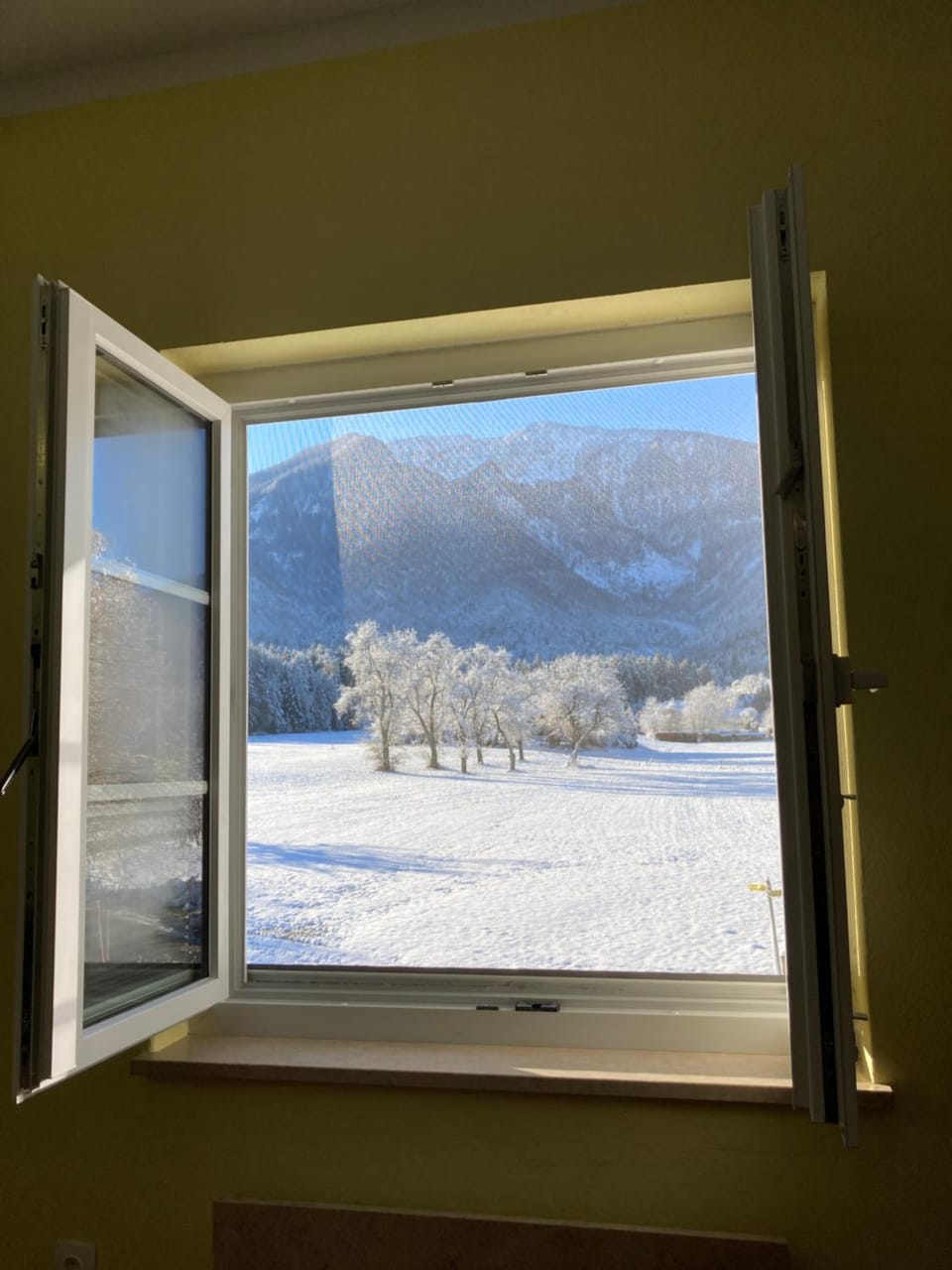 View (from property/room)