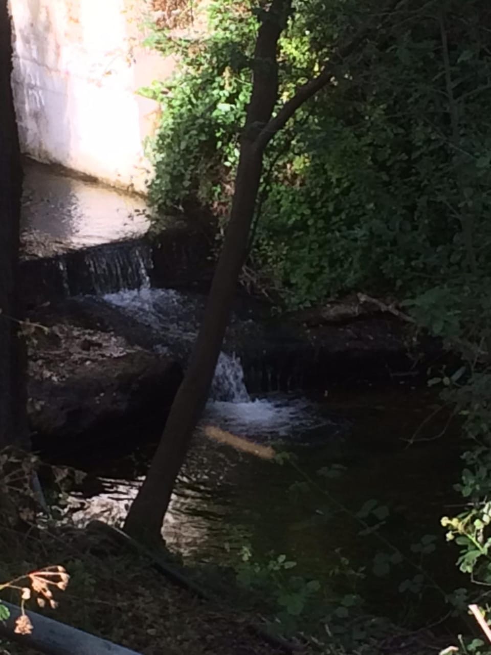 Natural landscape