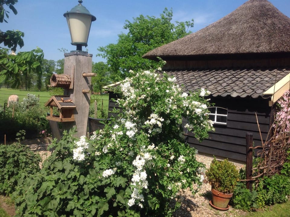 Property building, Garden view