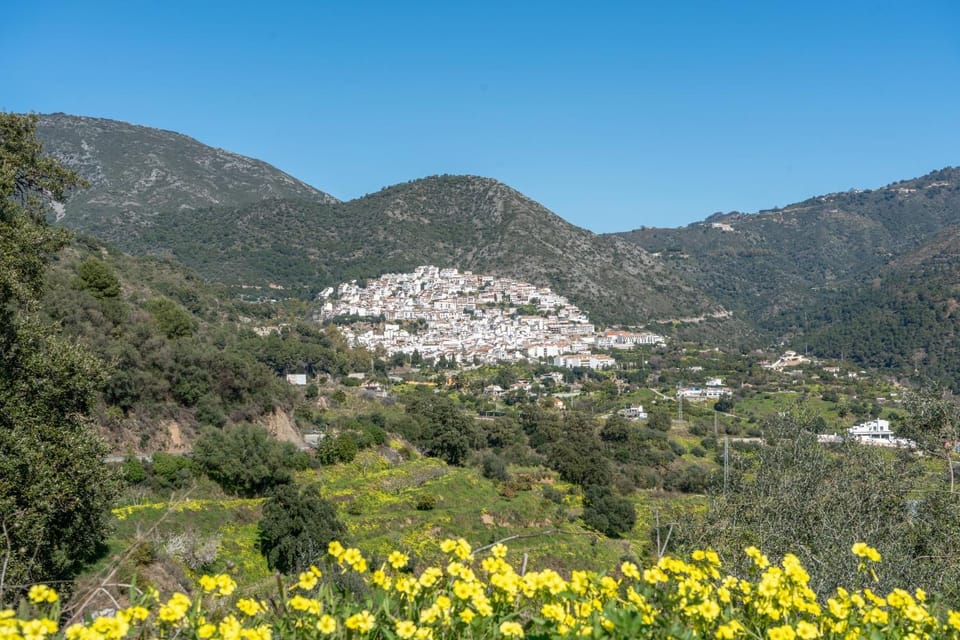 Casa D’Amelia Apartment in Sierra de las Nieves