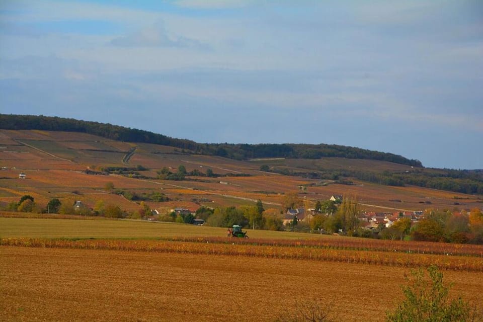 Chateau des Barrigards Villa in Bourgogne-Franche-Comté