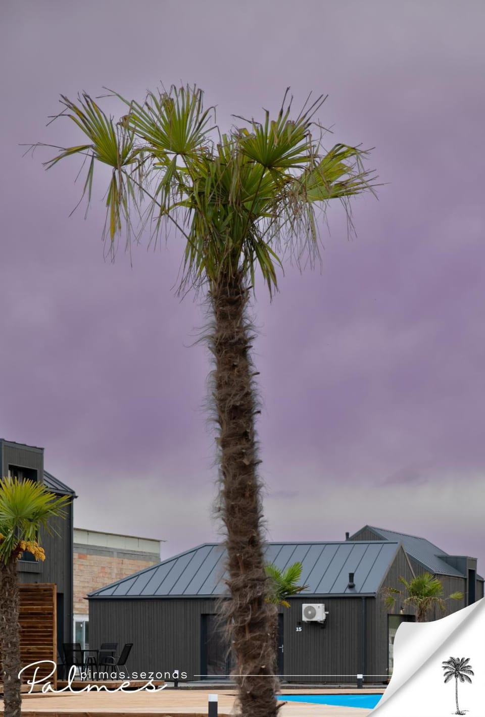 Property building, Day, Area and facilities