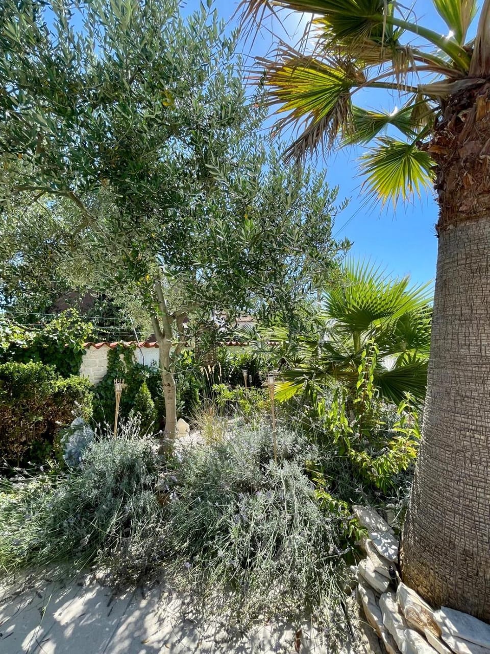 Patio, Garden