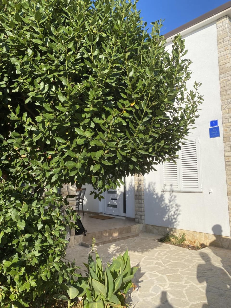 Property building, Day, Summer, Garden, Parking