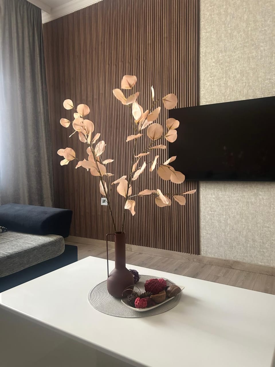 Apartman Tara Apartment in Vojvodina