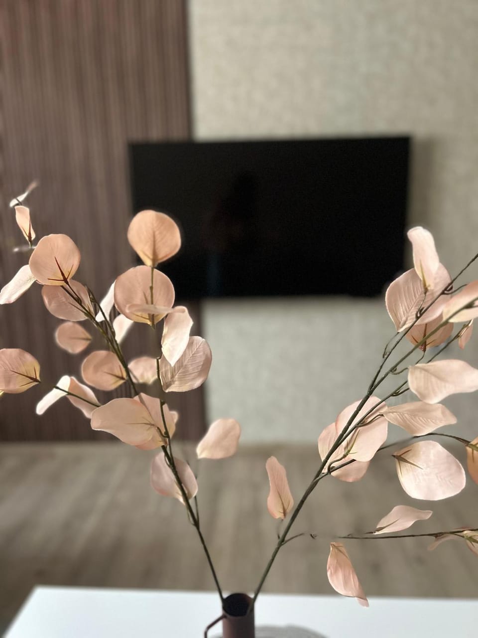 Apartman Tara Apartment in Vojvodina