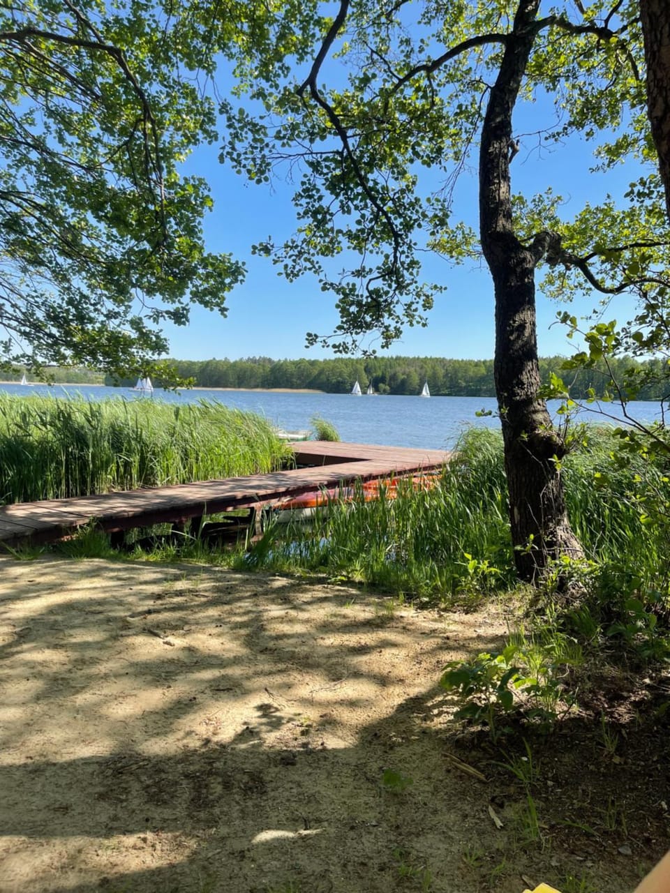 Borowy Glamp więcej niż domki Campground/ 
RV Resort in Pomeranian Voivodeship