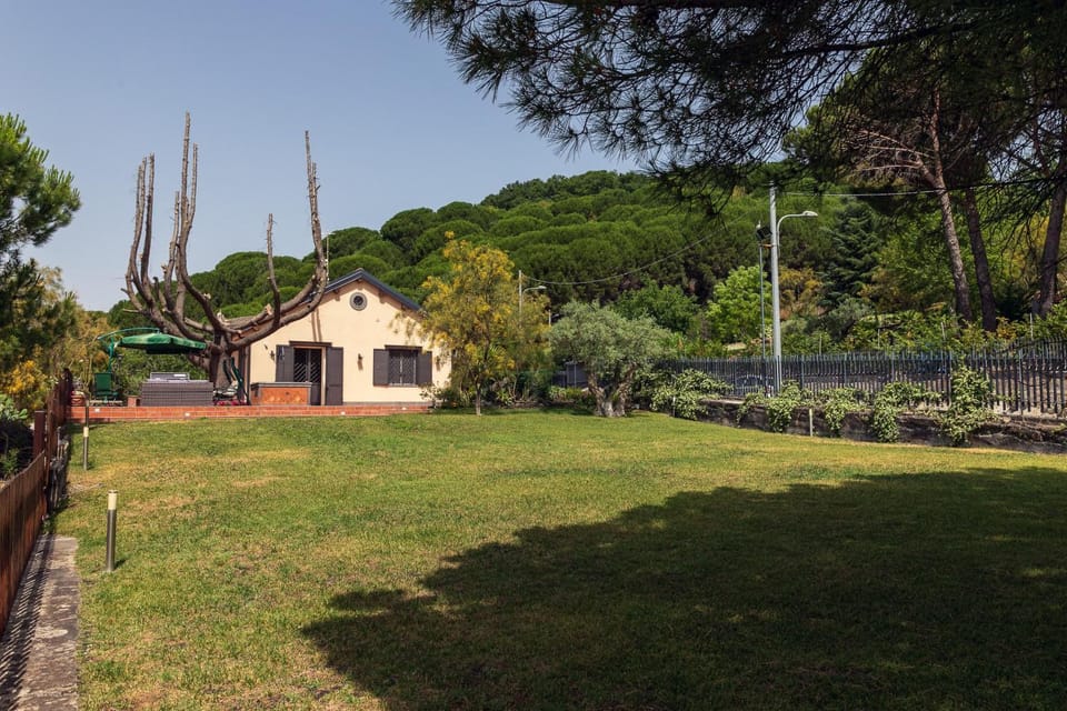 Children play ground, Garden, Garden view