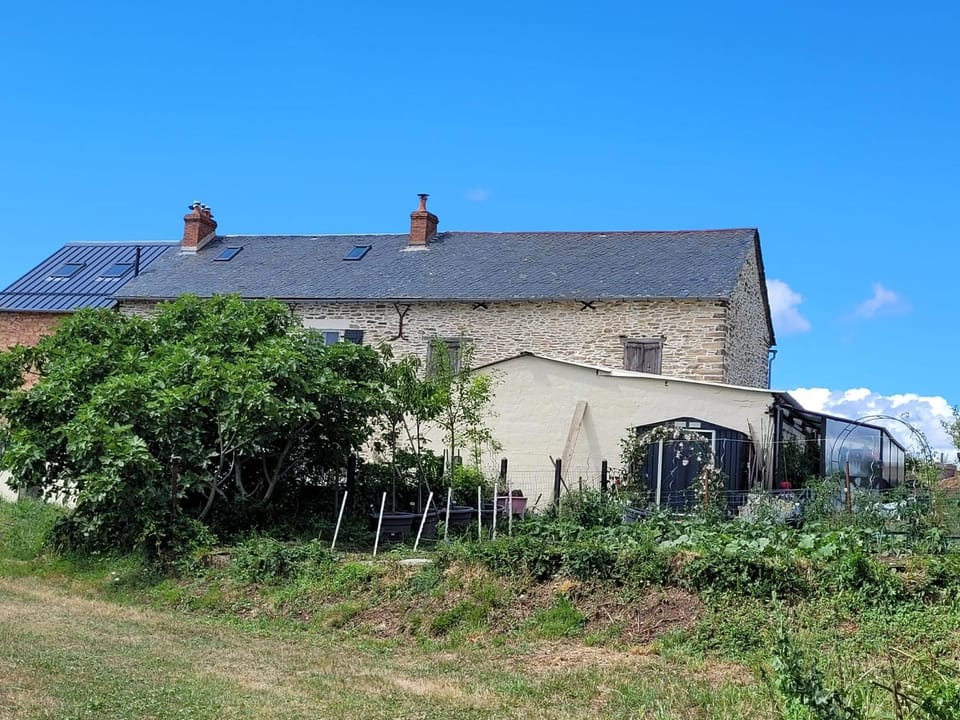 Property building, Garden view