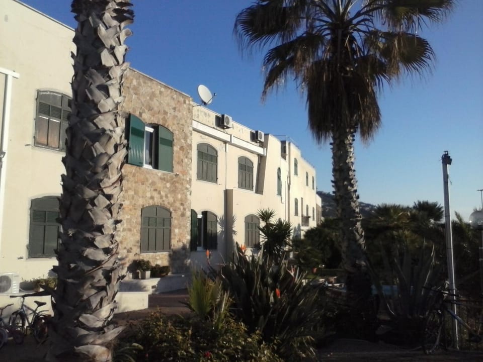Property building, Day
