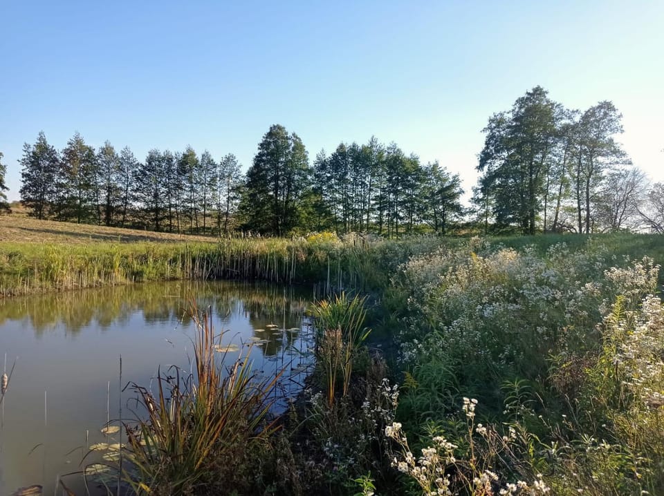 Lake view