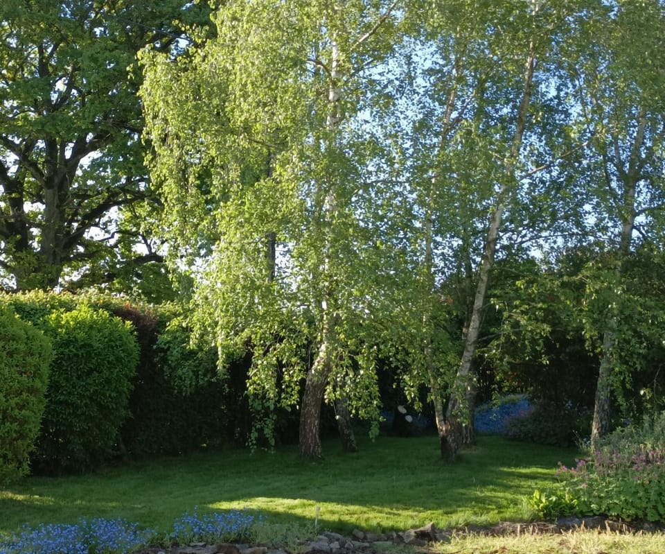 Garden, Garden view