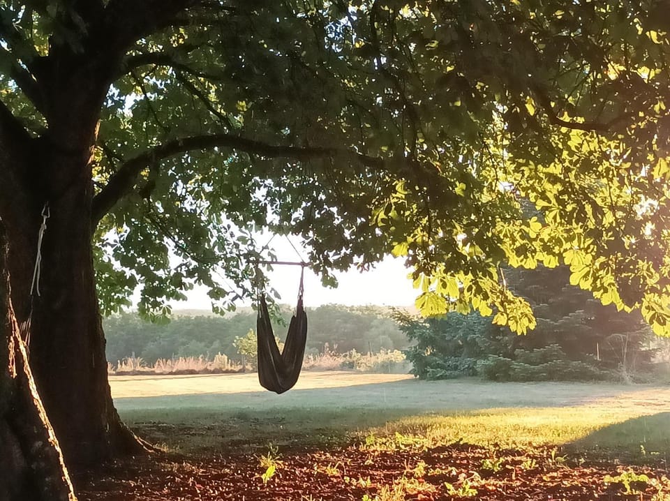 Natural landscape, Garden, Sunset