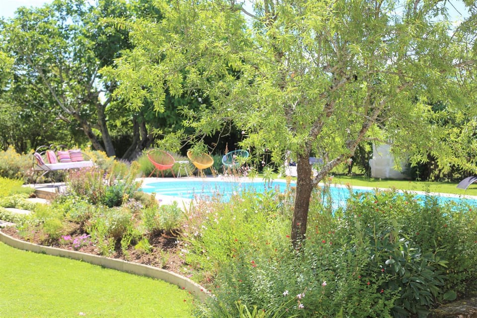 Garden, Garden, Swimming pool, Swimming pool