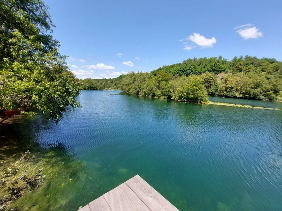 Lake view