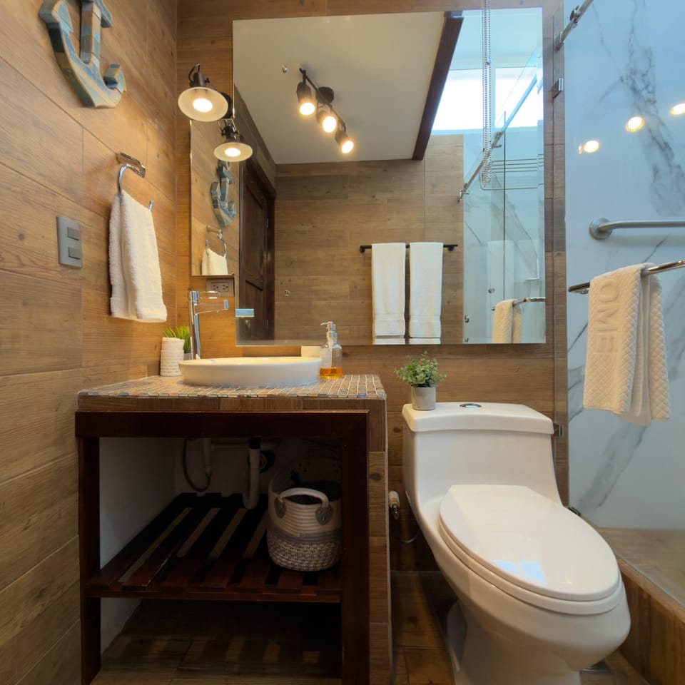 Toilet, hair dryier, towels