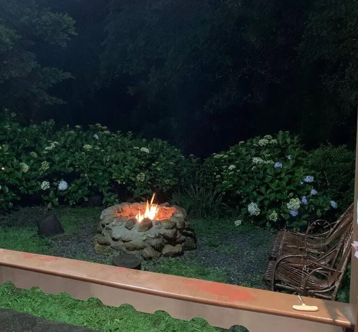 Patio, Night, Garden, Garden view, fireplace