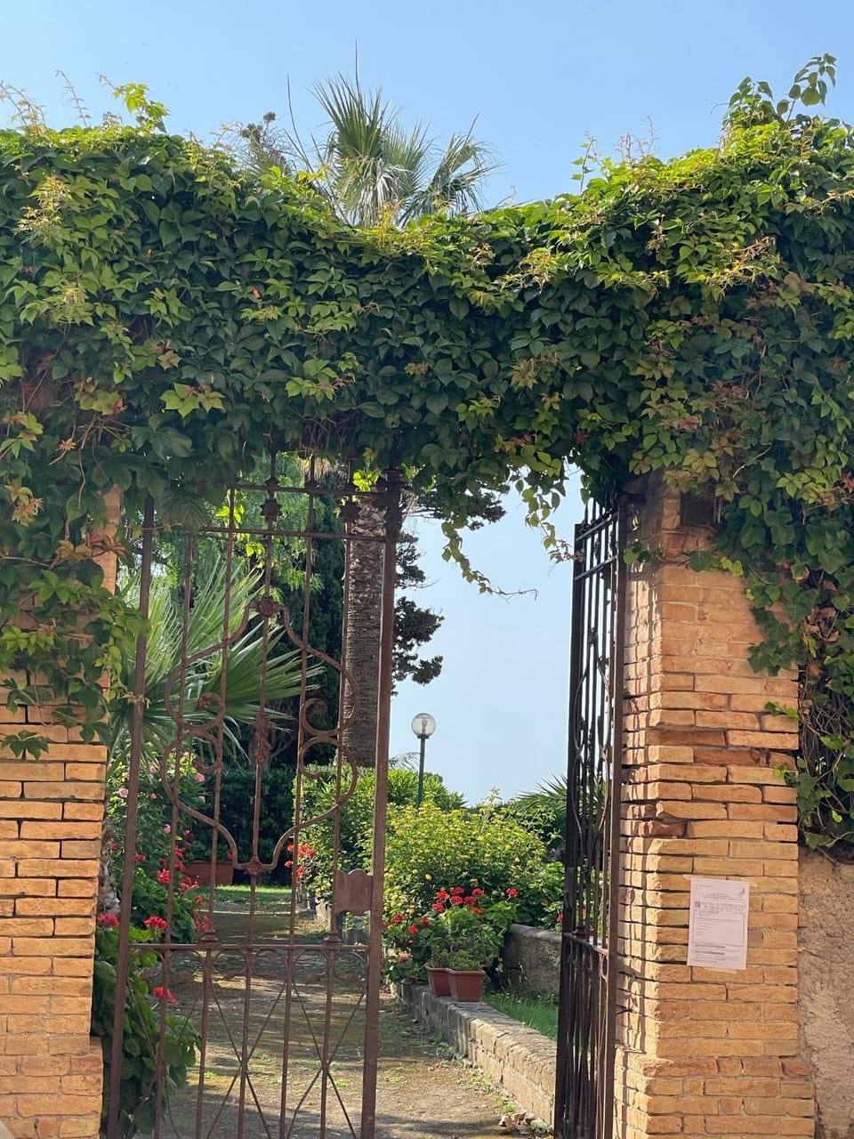 Garden