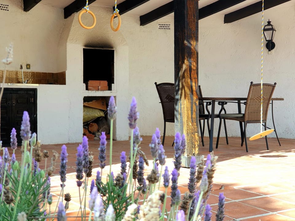 Patio, BBQ facilities