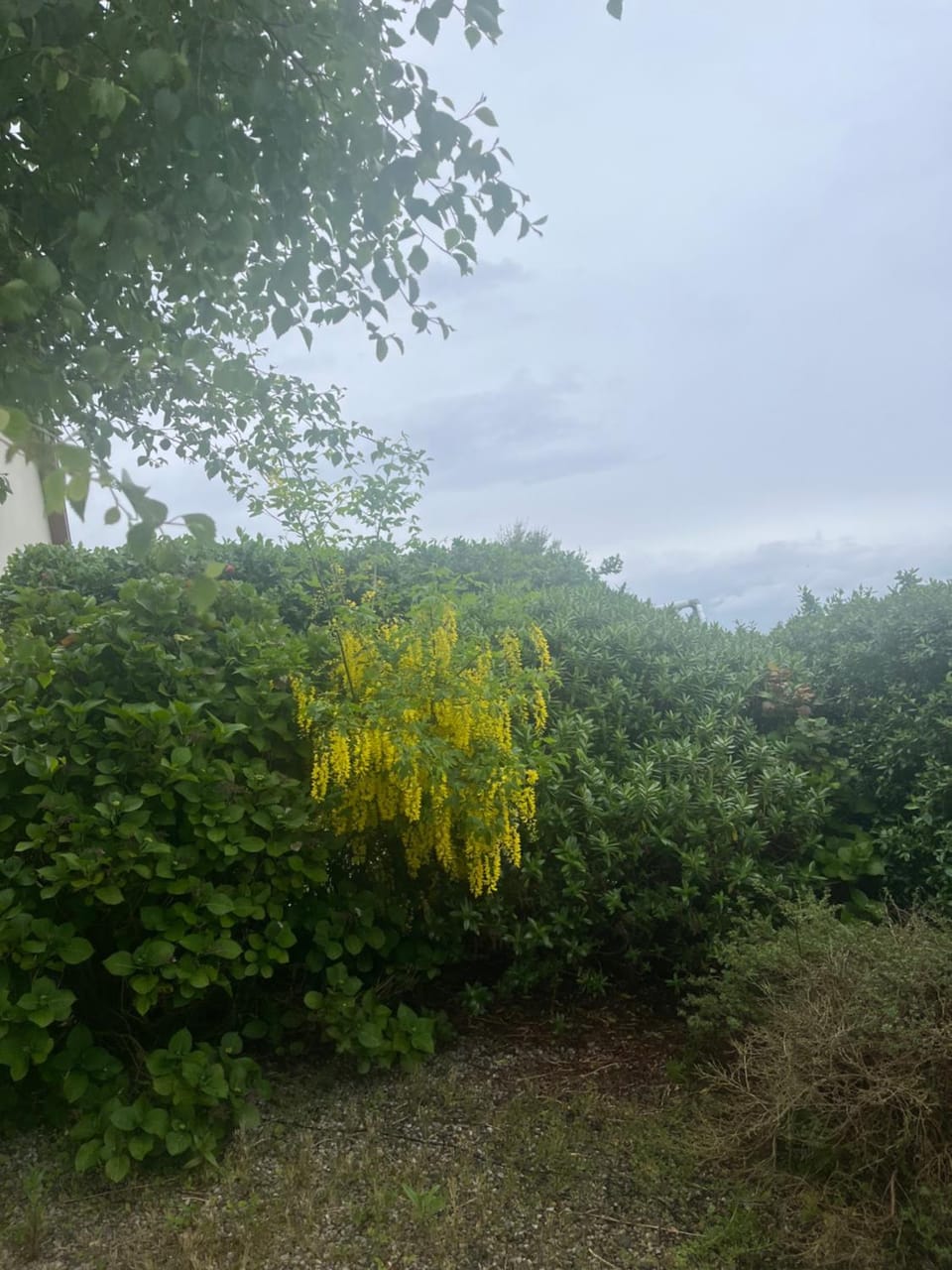 Atlantic way Apartment Apartment in County Sligo