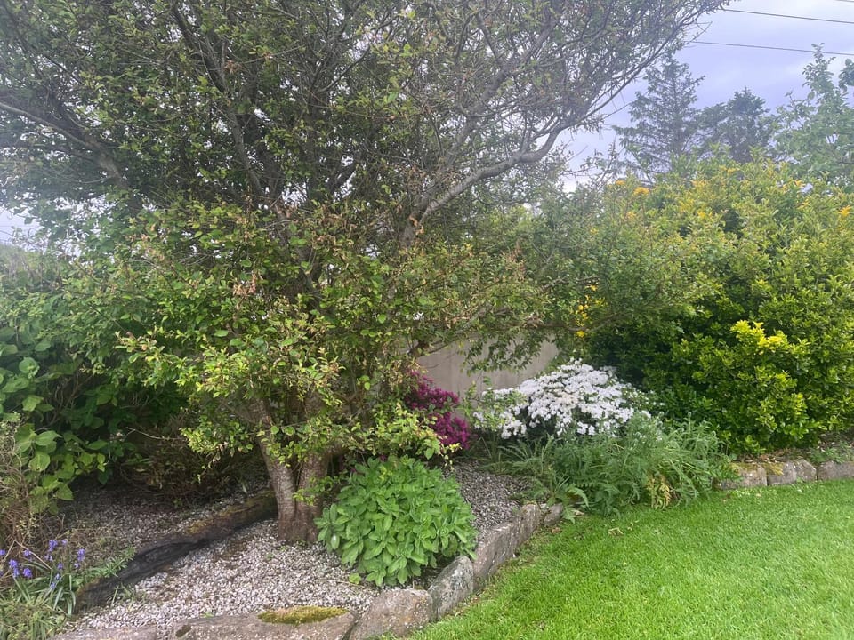 Atlantic way Apartment Apartment in County Sligo