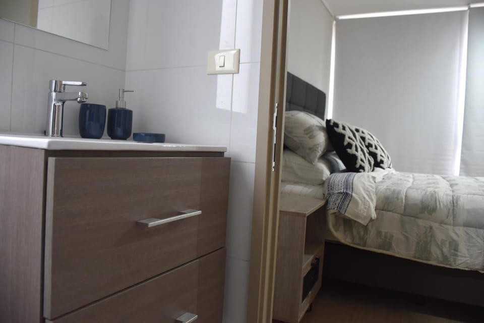 The Fox Departamentos Apartment in Recoleta