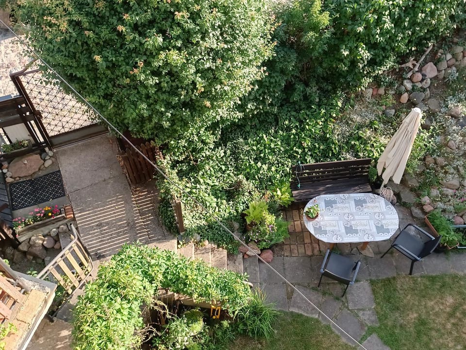 Patio, Garden, Garden view