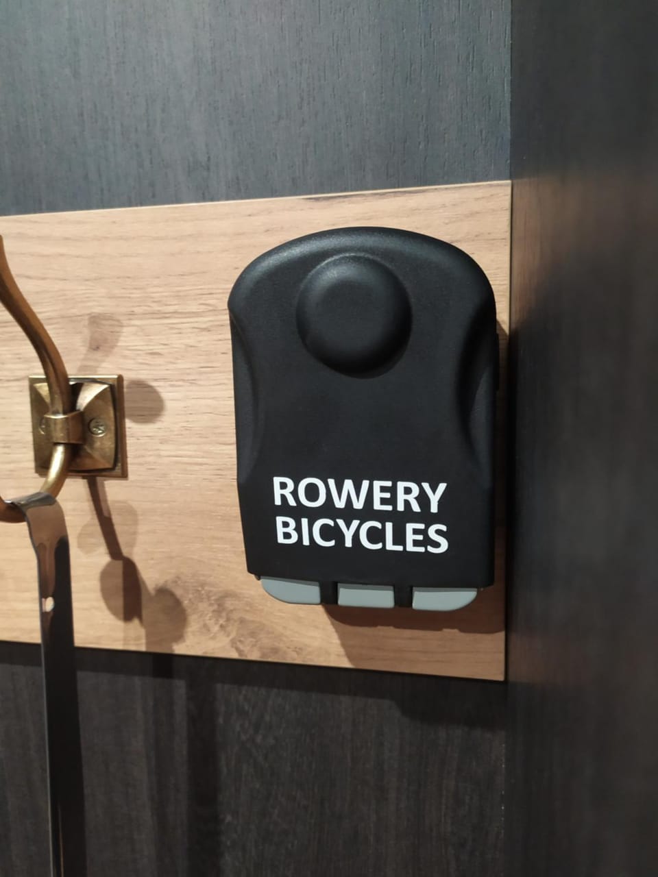 Cycling, Sports