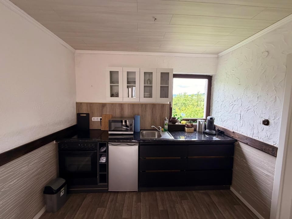 Kitchen or kitchenette, oven, stove