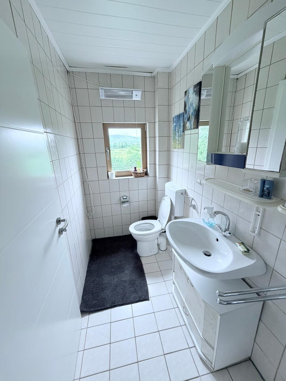 Toilet, Bathroom