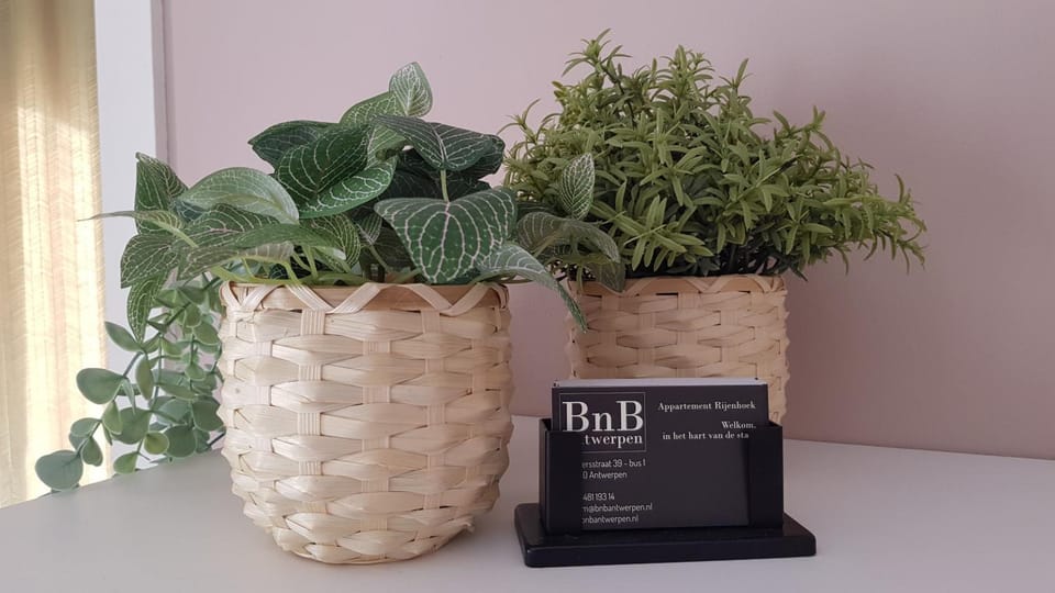 BnB Antwerpen - CHIQUE Apartment in Antwerp