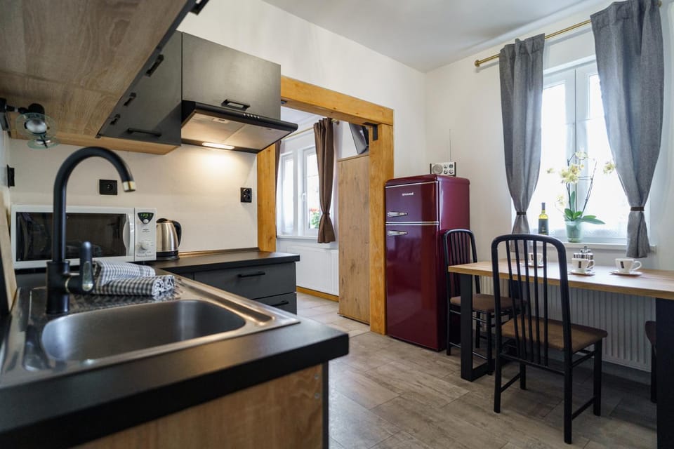 Kitchen or kitchenette, minibar, stove, kitchen