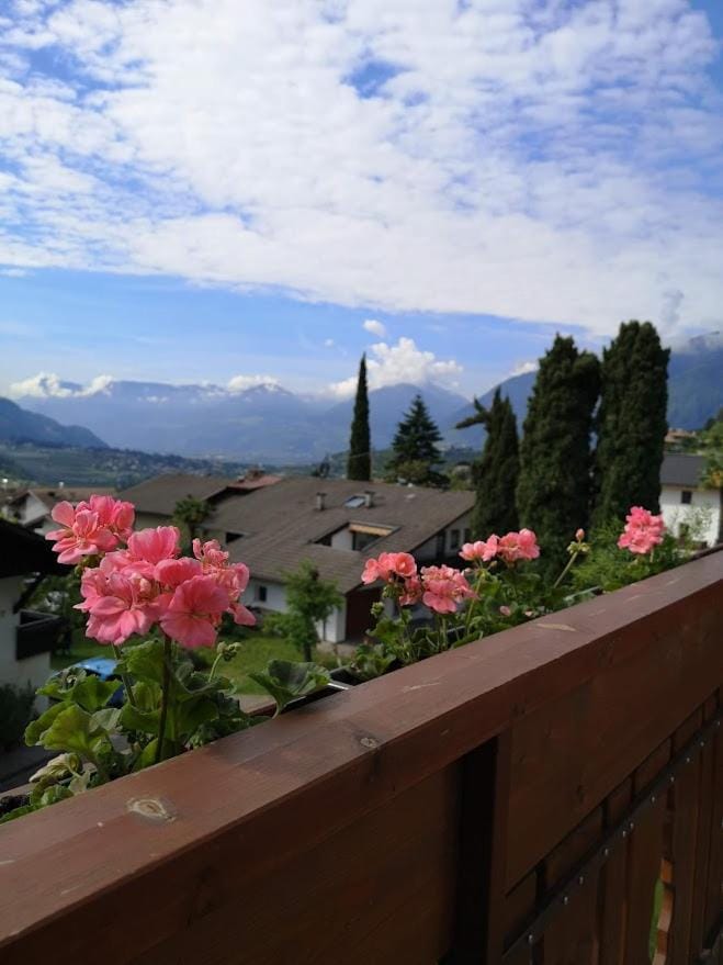 Pension Kleon Bed and Breakfast in Trentino-South Tyrol