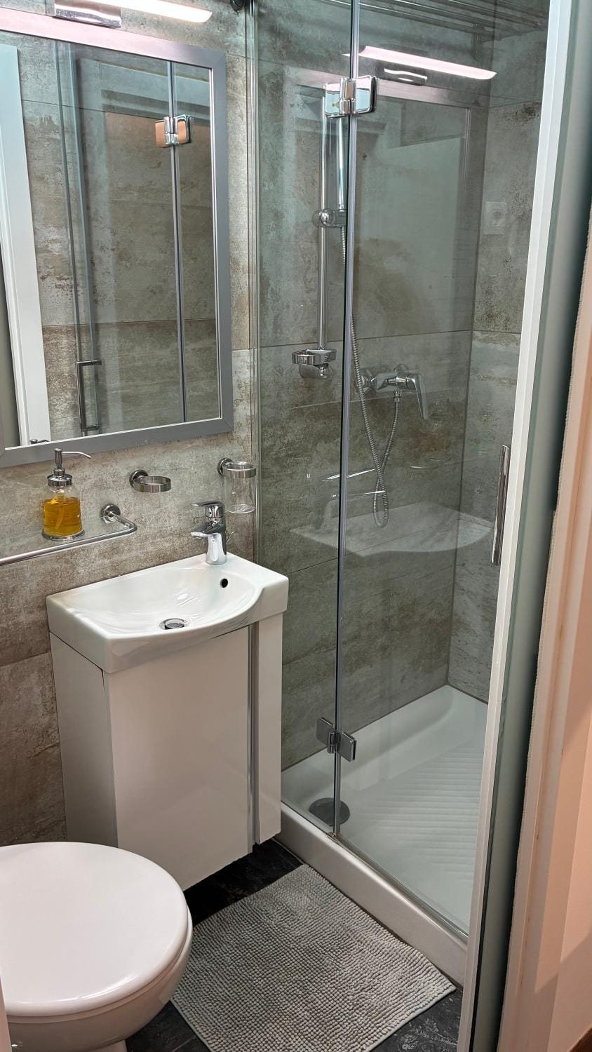 Shower, Toilet, Bathroom, towels