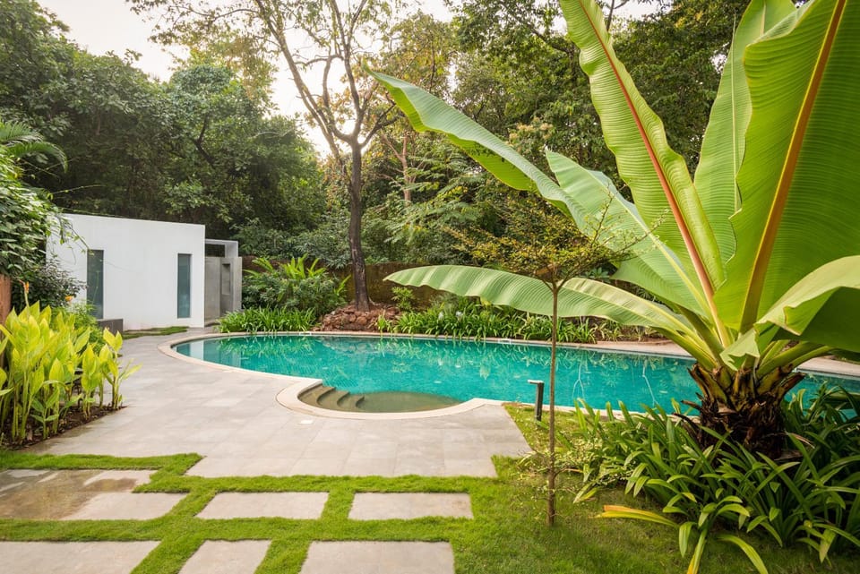 Garden, Swimming pool