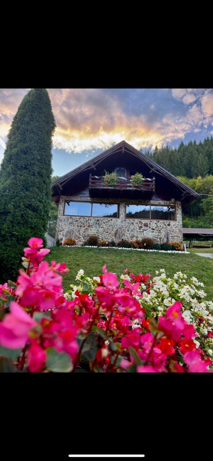 Pensiunea Mary & Ela Bed and Breakfast in Cluj County