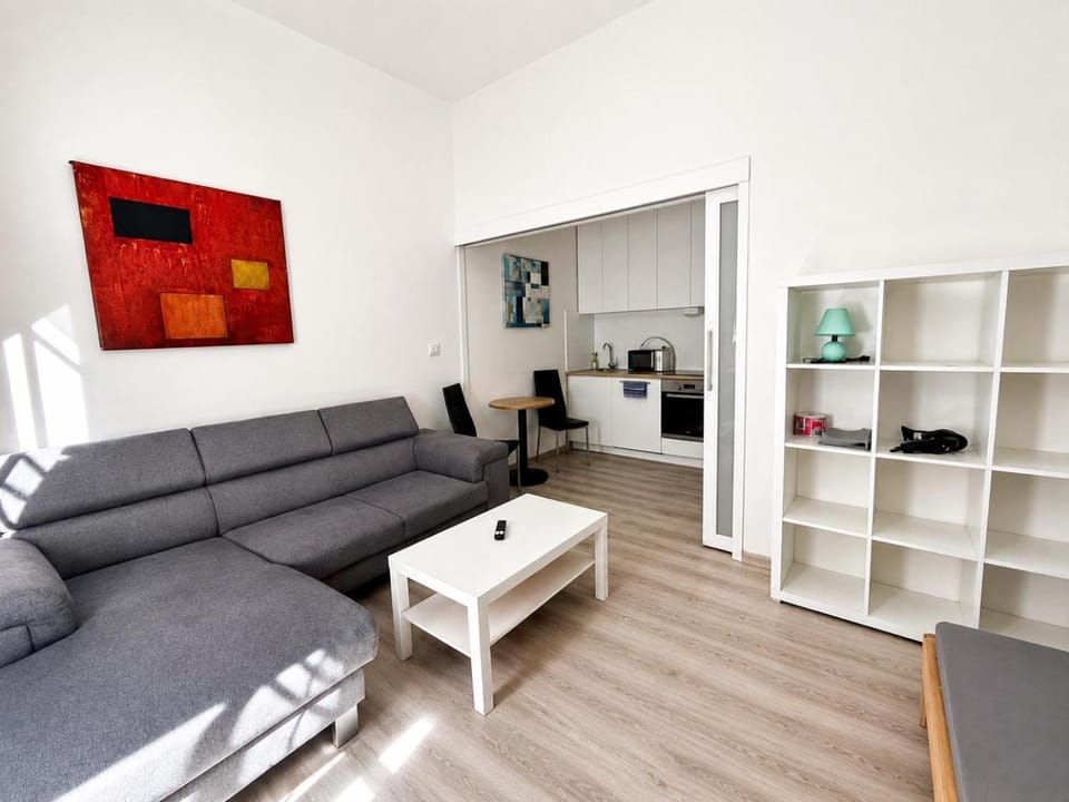 Garsoniéra Ostrava - centrum u Jiráskova náměstí Apartment in Czechia