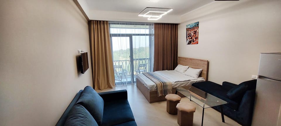 Bed, TV and multimedia, Living room, Photo of the whole room, Seating area, Bedroom, hair dresser, air conditioner