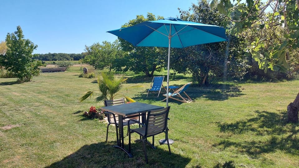 Natural landscape, Garden, Dining area