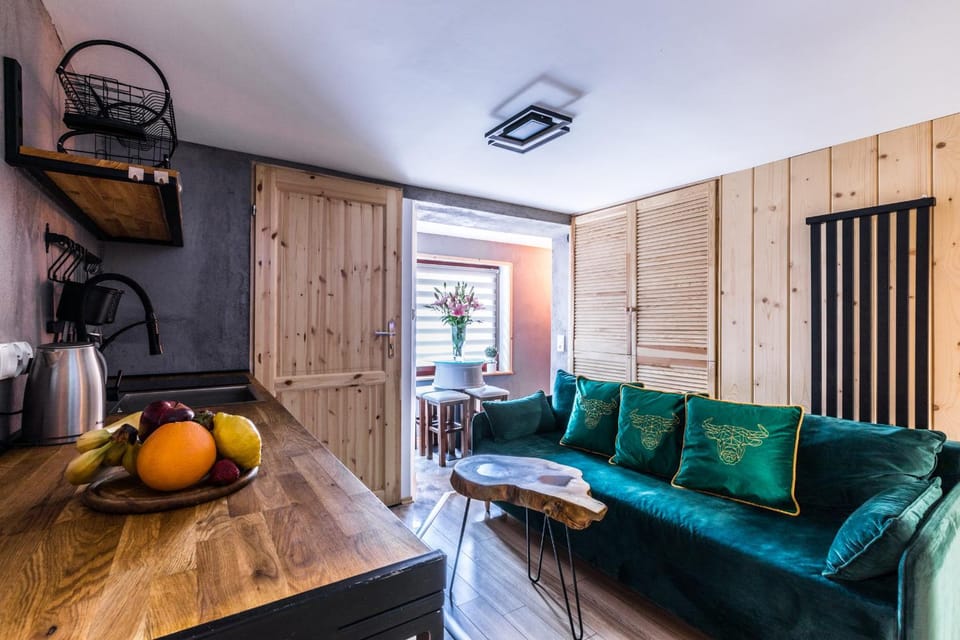 Apartament Żubry z Sauna Apartment in Zakopane