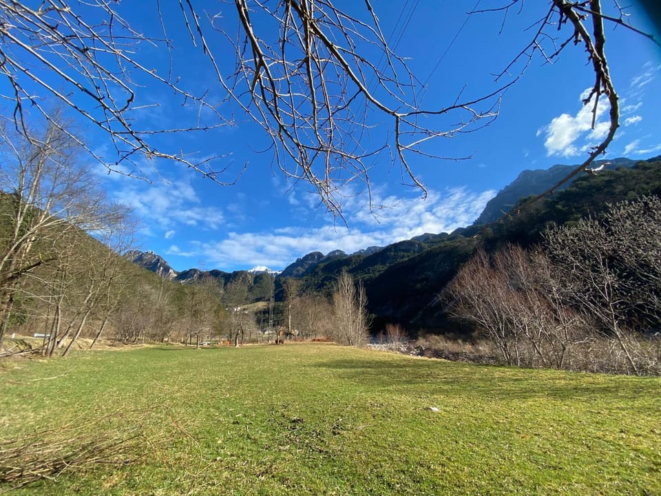 Alloggio agrituristico Pociat Farm Stay in Friuli-Venezia Giulia