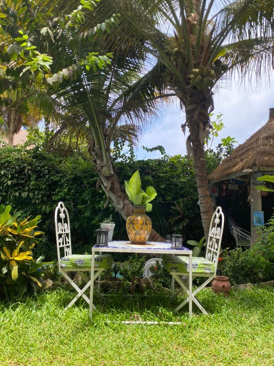 Garden, Breakfast