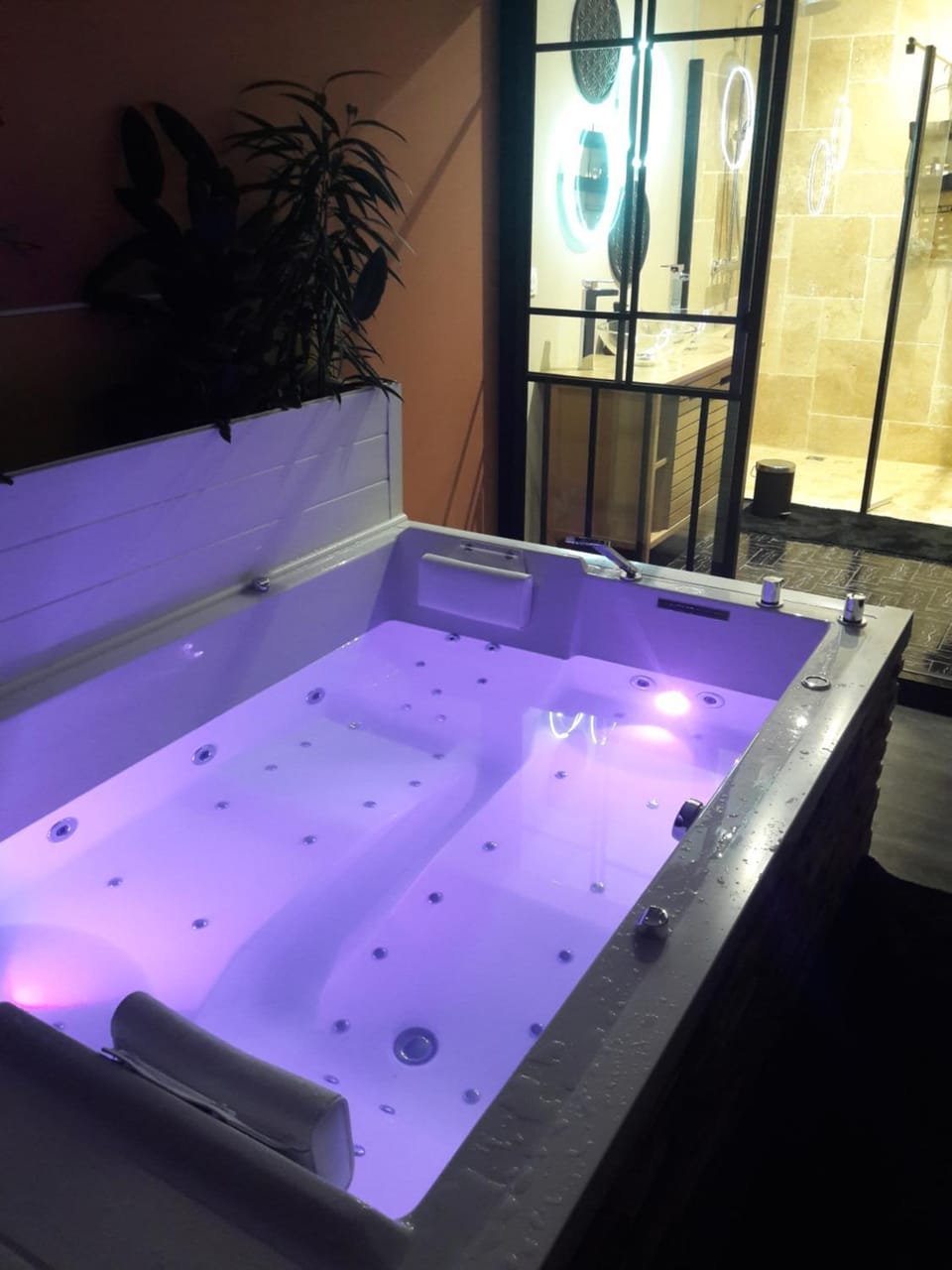 Spa and wellness centre/facilities