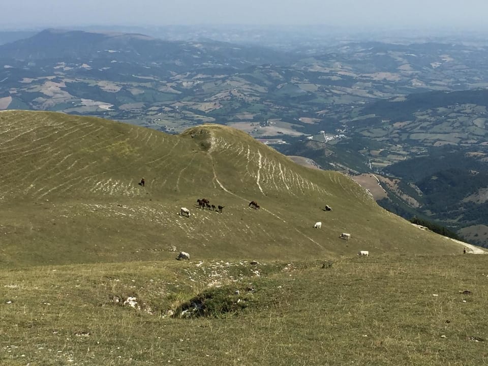 B&B Monte Acuto Bed and Breakfast in Umbria