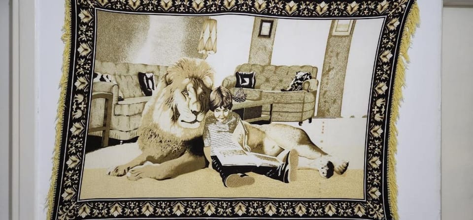 Lion's rooms Apartment in Vlorë